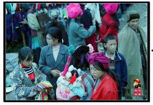 在线观看赶场  第2张